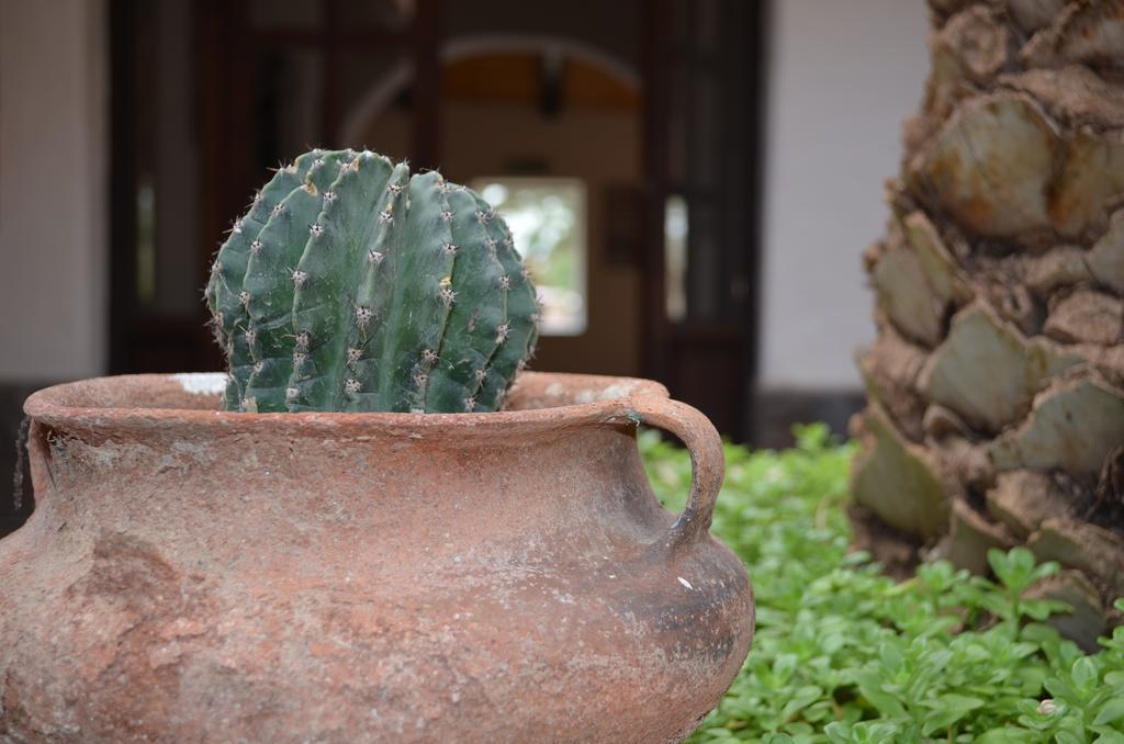 Гостевой дом Finca El Carmen Ангастако Экстерьер фото